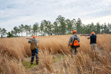 QUAIL HUNTING AT GEORGE HI PLANTATION